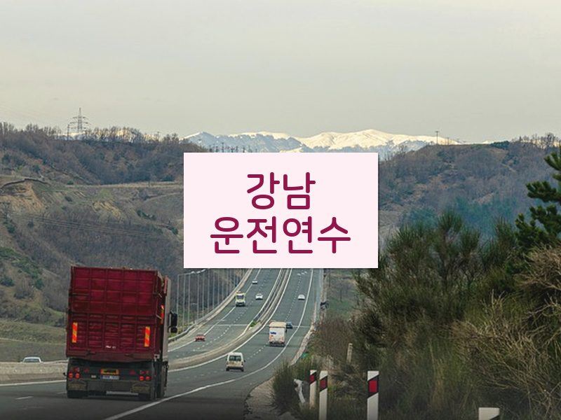강남운전연수 후기
