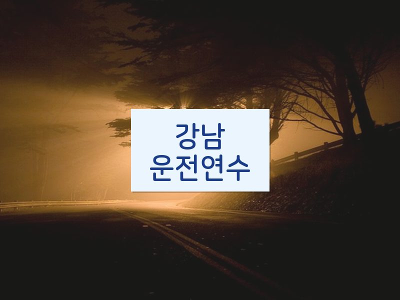 강남운전연수 후기