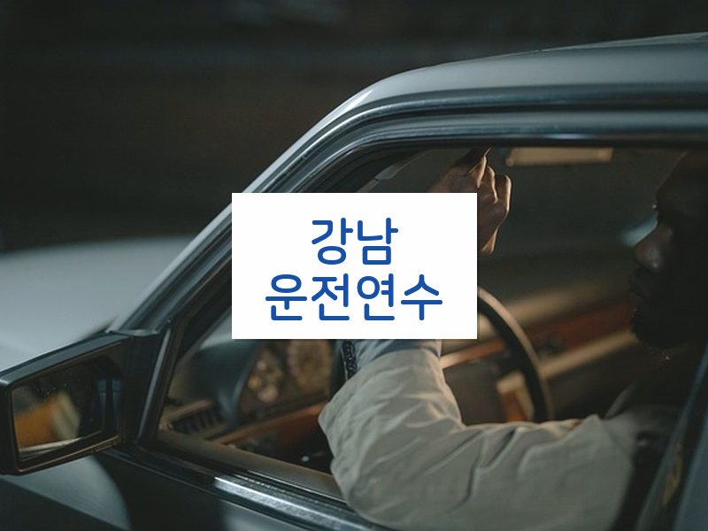 강남운전연수 후기