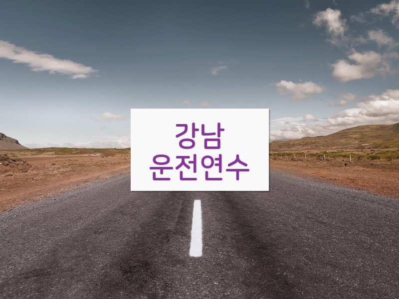강남운전연수 후기