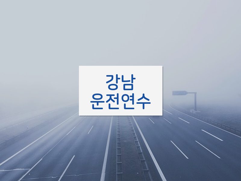 강남운전연수 후기