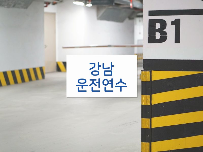 강남운전연수 후기