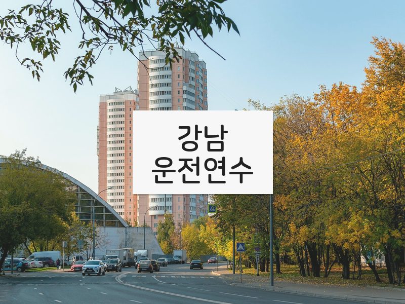 강남운전연수 후기