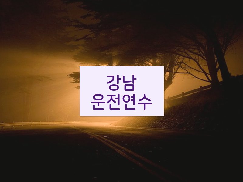 강남운전연수 후기