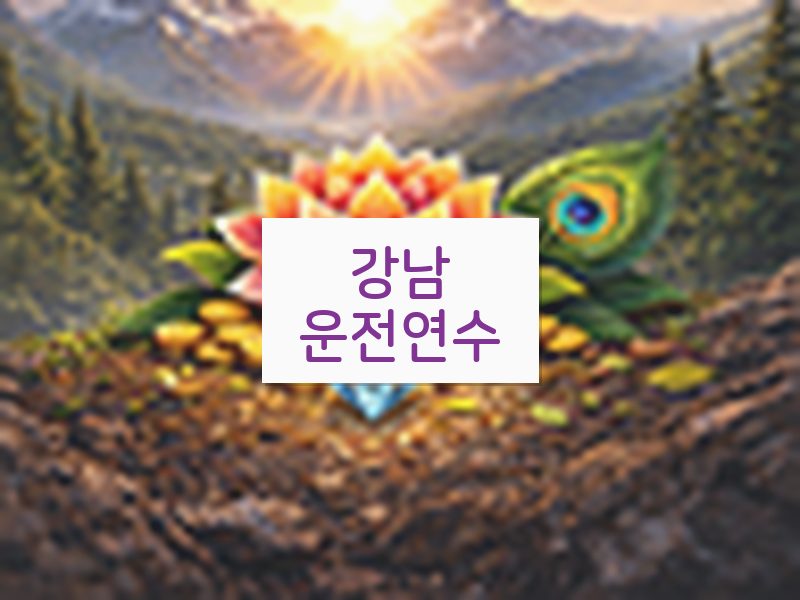 강남운전연수 후기