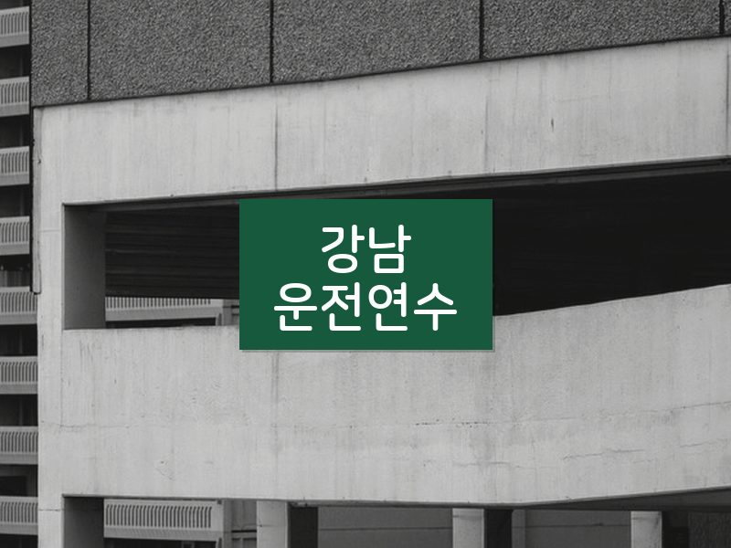 강남운전연수 후기
