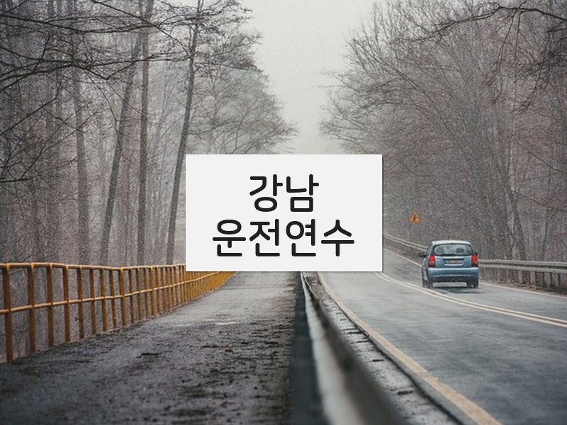 강남운전연수 후기