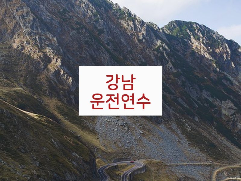 강남운전연수 후기
