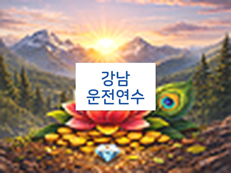 강남운전연수 후기
