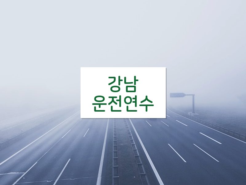 강남운전연수 후기