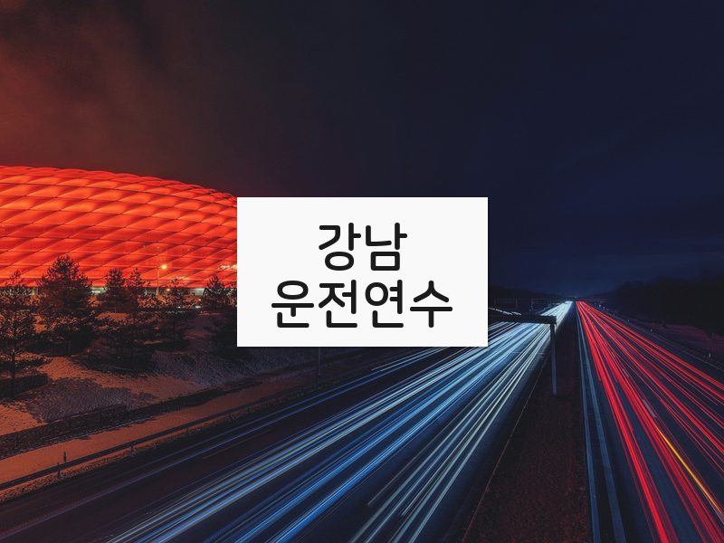 강남운전연수 후기