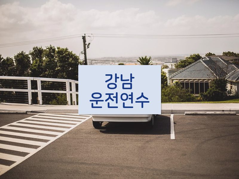 강남운전연수 후기