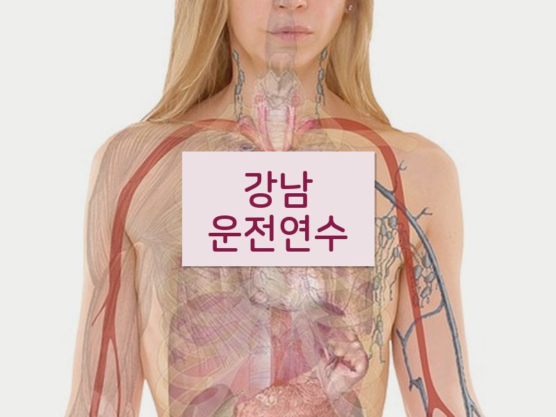 강남운전연수 후기