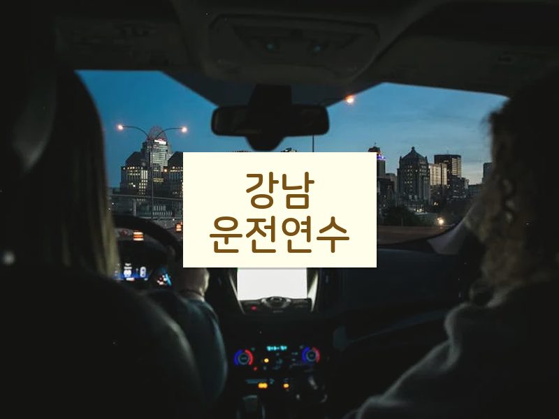 강남운전연수 후기