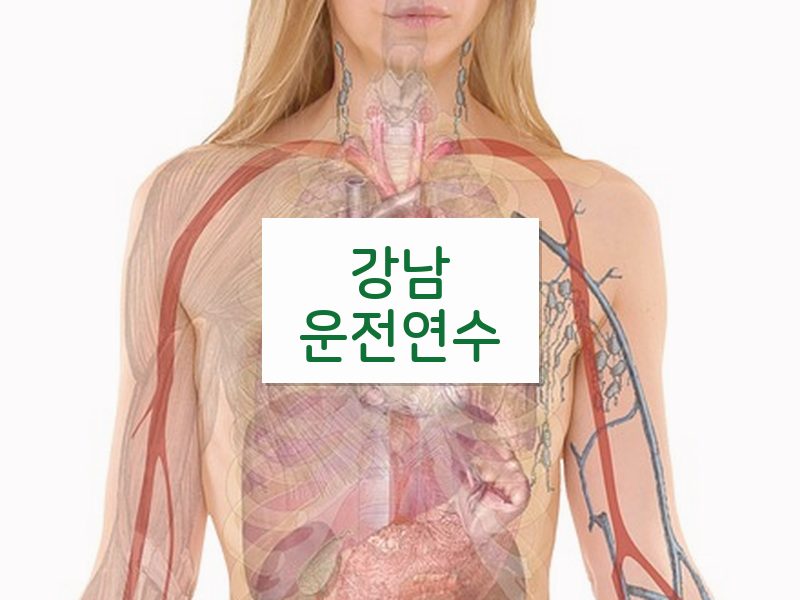 강남운전연수 후기