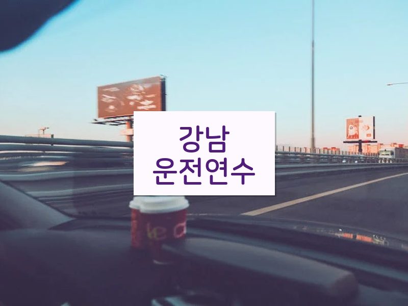 강남운전연수 후기