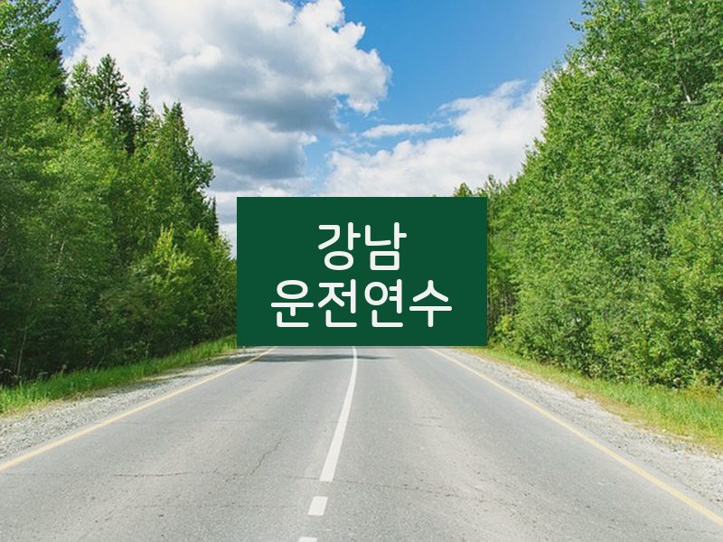강남운전연수 후기