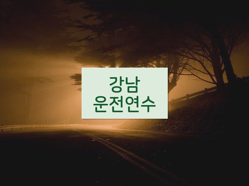 강남운전연수 후기