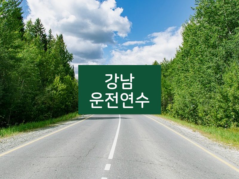 강남운전연수 후기