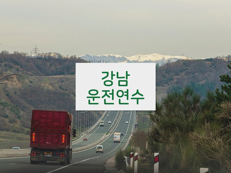 강남운전연수 후기