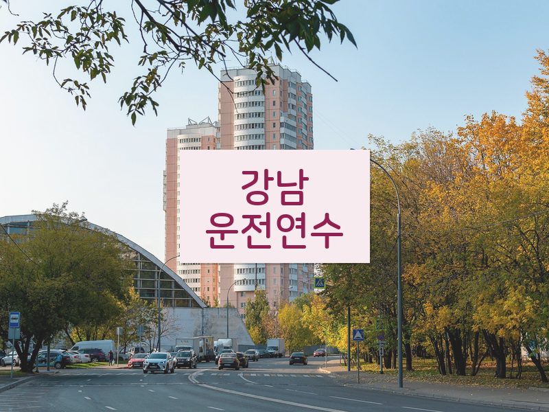 강남운전연수 후기