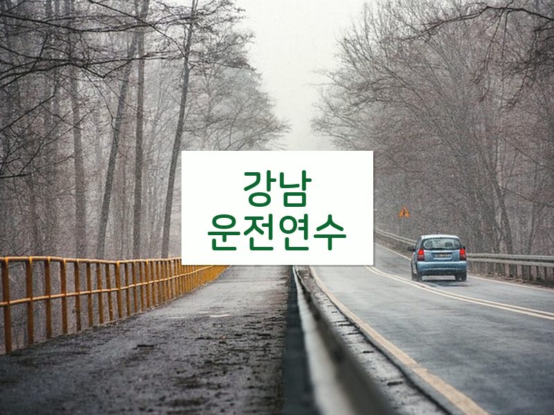 강남운전연수 후기