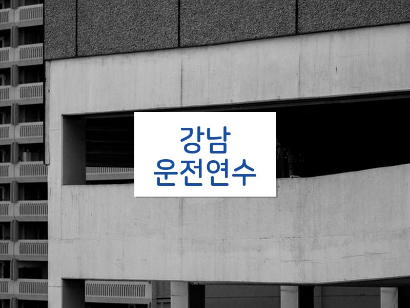 강남운전연수 후기