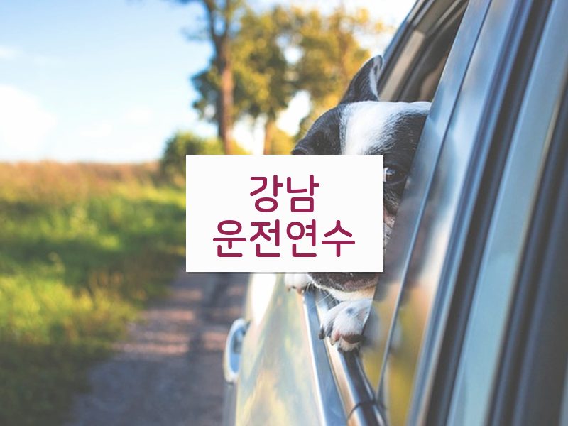 강남운전연수 후기