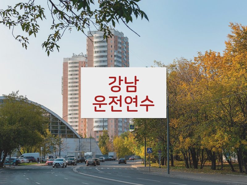 강남운전연수 후기