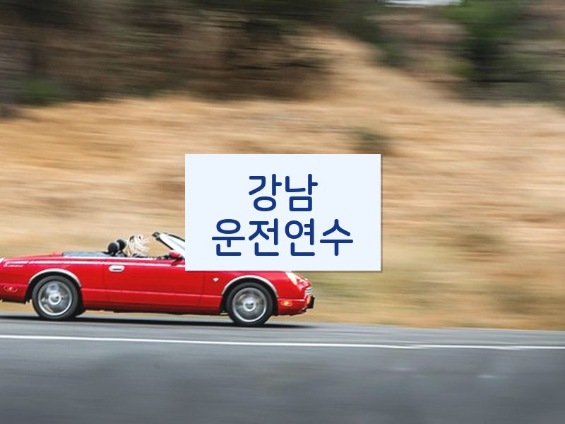 강남운전연수 후기