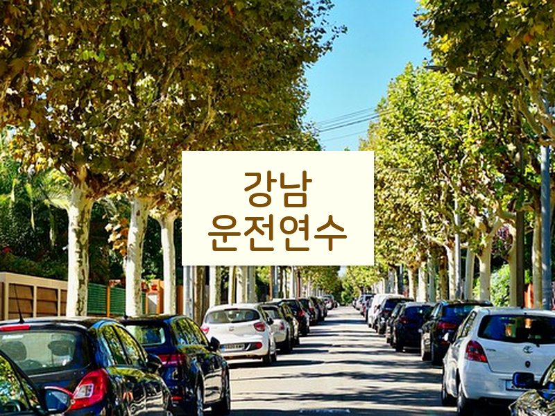 강남운전연수 후기