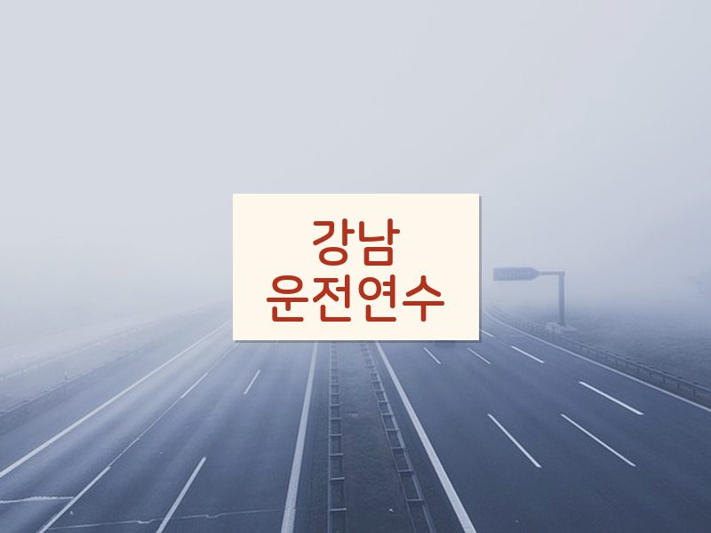 강남운전연수 후기