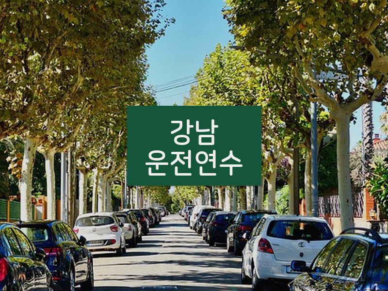 강남운전연수 후기