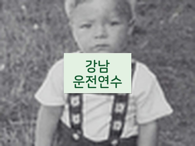 강남운전연수 후기