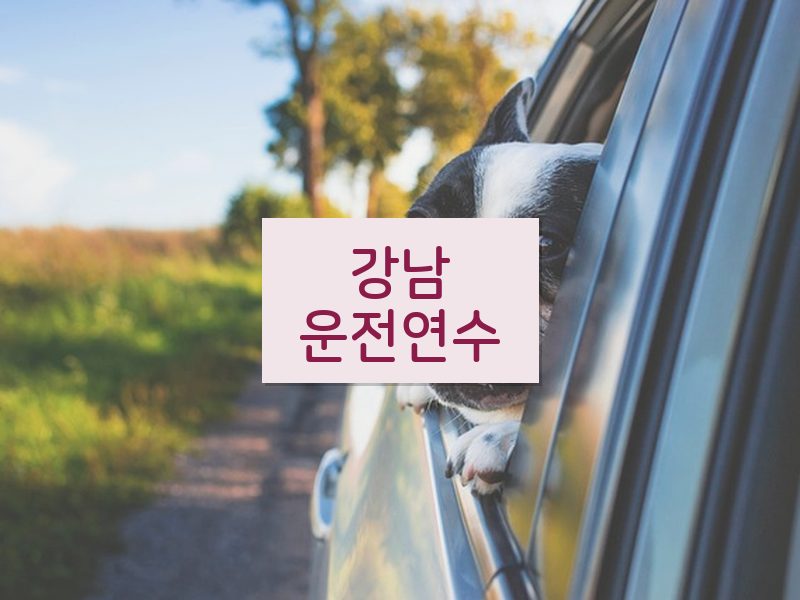강남운전연수 후기