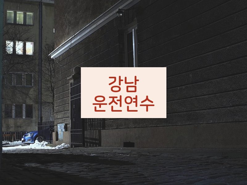 강남운전연수 후기