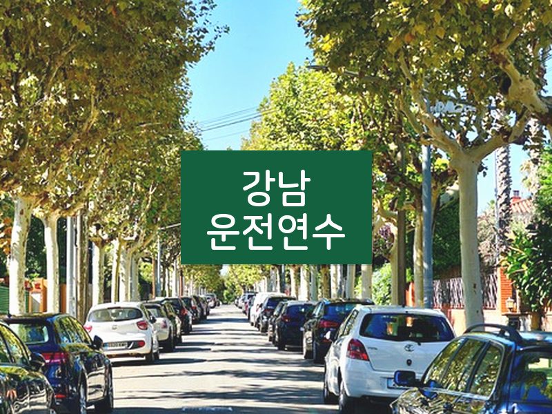 강남운전연수 후기