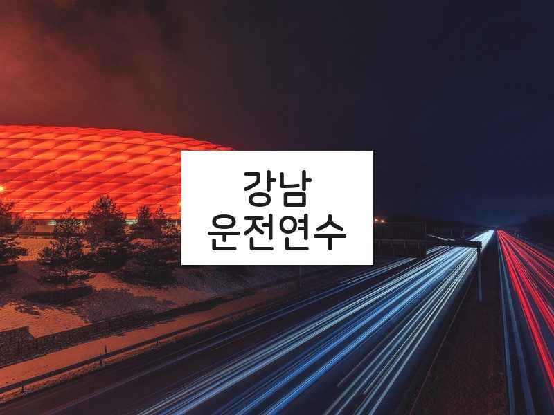 강남운전연수 후기