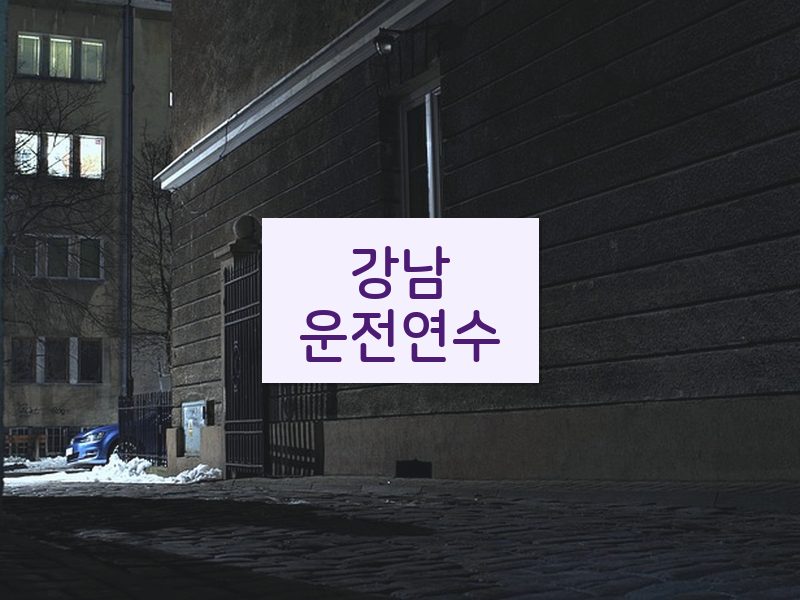 강남운전연수 후기