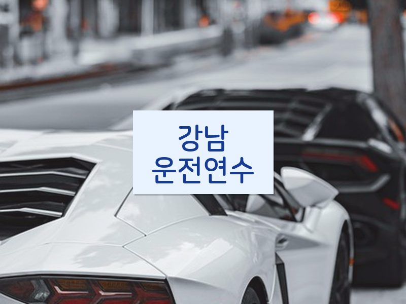 강남운전연수 후기