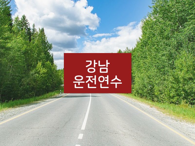 강남운전연수 후기