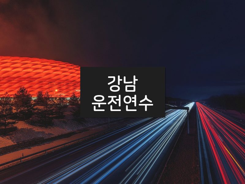 강남운전연수 후기