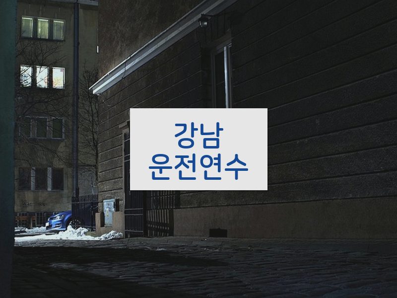 강남운전연수 후기