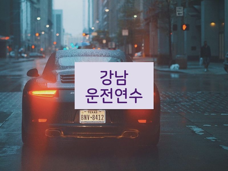강남운전연수 후기