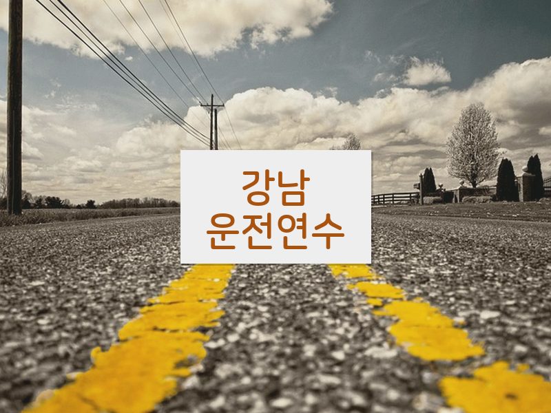 강남운전연수 후기