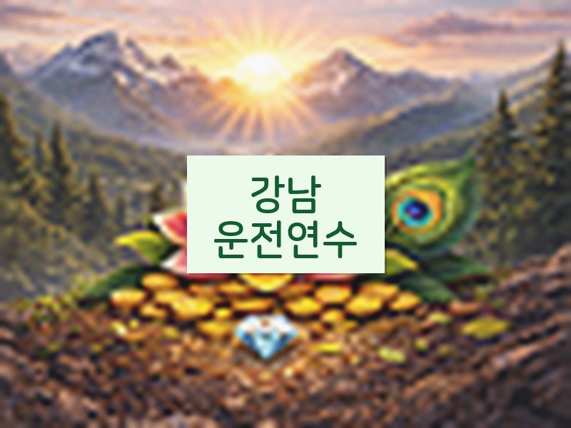 강남운전연수 후기
