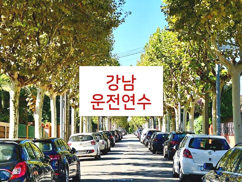 강남운전연수 후기