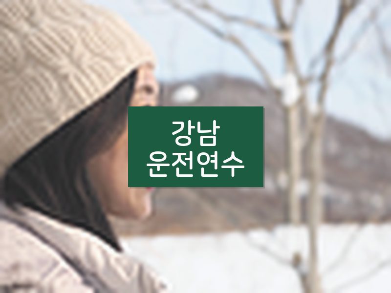 강남운전연수 후기