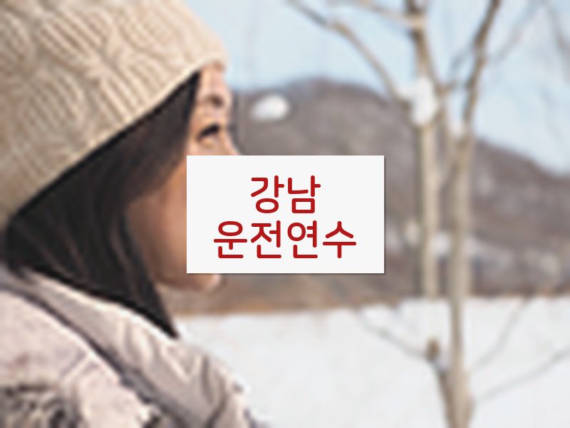 강남운전연수 후기