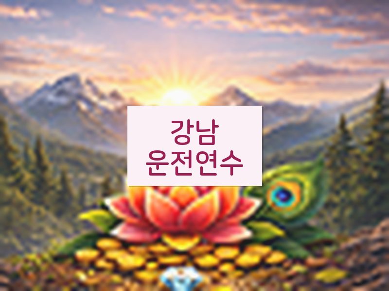 강남운전연수 후기